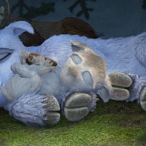 Foto Niko 2: Hermano pequeño, problema grande