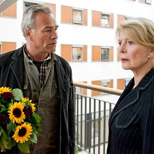 Foto Wie ein Licht in der Nacht