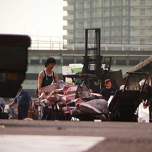 Sushi - The Global Catch - Documental 2012