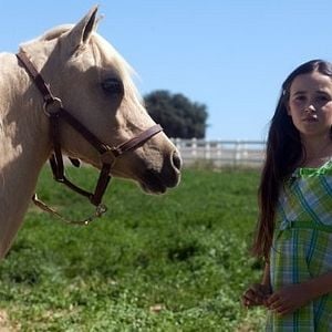 Foto Princess and the Pony