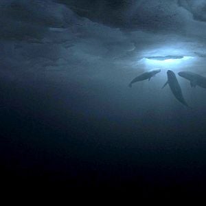 Foto Una aventura extraordinaria