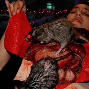 Foto Rat Scratch Fever