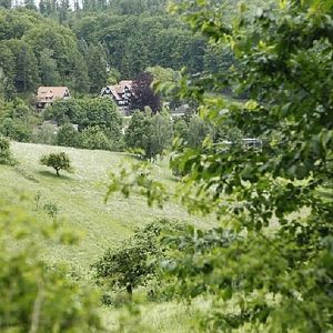 Foto Und wir sind nicht die Einzigen