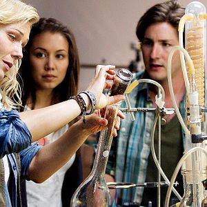 Foto Semillas de destrucción