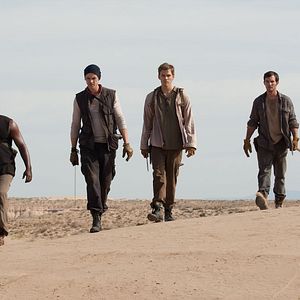 Foto The Host (La huésped)