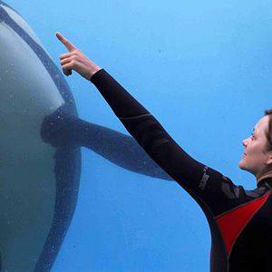 Foto De óxido y hueso