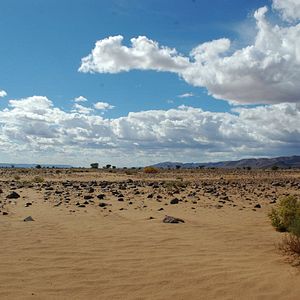 Foto Allein die Wüste