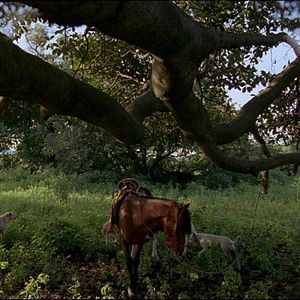 Foto Post Tenebras Lux