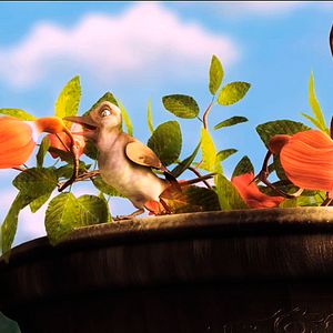 Foto Plumíferos, aventuras voladoras