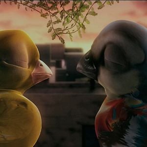 Foto Plumíferos, aventuras voladoras