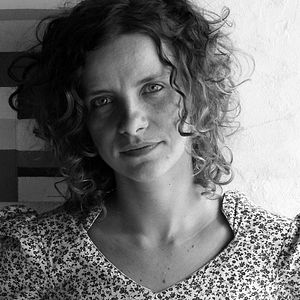 Foto Porcos Raivosos