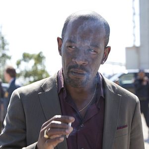 Foto Low Winter Sun (2013)