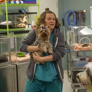 Foto Animal Practice