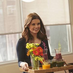 Foto Animal Practice