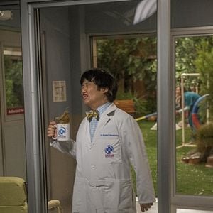 Foto Animal Practice