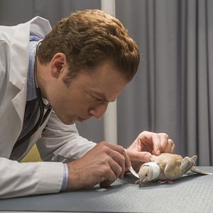 Foto Animal Practice