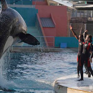 Foto De óxido y hueso