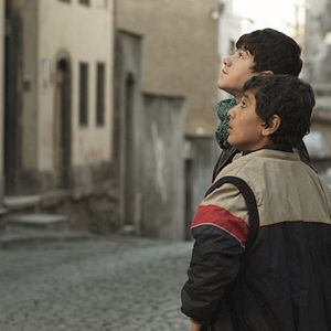 Foto Kırık Midyeler