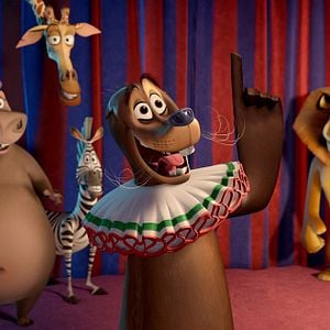 Foto Madagascar 3: De marcha por Europa
