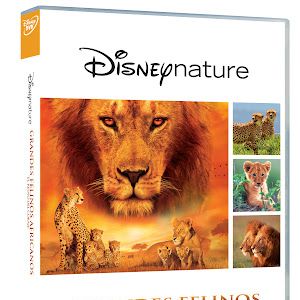 Foto Grandes Felinos Africanos: El reino del coraje