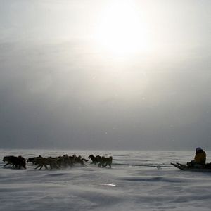 Foto Voyage d’Inuk