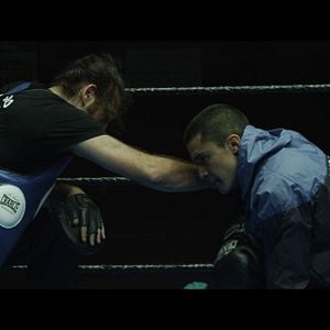 Foto Alacrán Enamorado