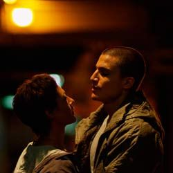 Foto Alacrán Enamorado