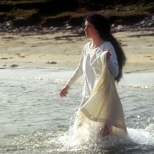 Foto El secreto de la isla de las focas