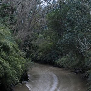 Foto Todos tenemos un plan