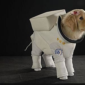 Foto Space Buddies: Cachorros en el espacio