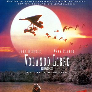Foto Volando libre