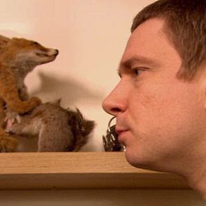 Foto The All Together