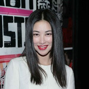 Foto El hombre de los puños de hierro