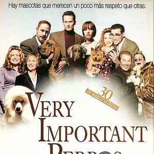 Foto Very important perros