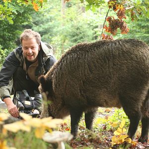 Foto Das grüne Wunder - Unser Wald