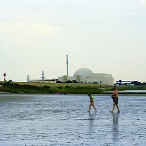 Das Ding am Deich - Vom Widerstand gegen ein Atomkraftwerk - Documental 2011
