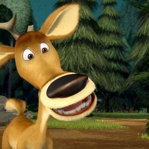 Foto Colegas en el bosque 2