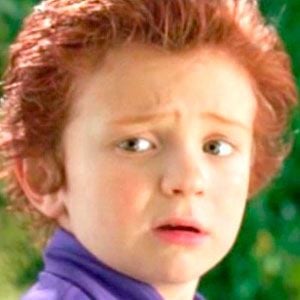 Foto Beans El-Balawi