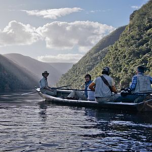 Foto Proyecto Dinosaurio