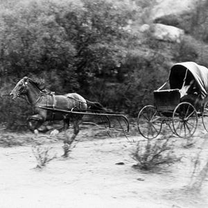 Foto El ladrón de cadáveres