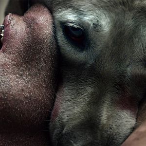 Foto The ABCs of Death