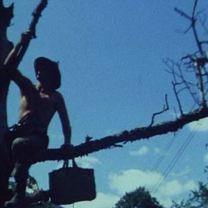 Foto This Our Still Life