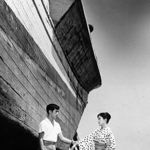 Foto La hierba errante