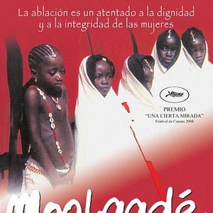 Foto Moolaadé (Protección)