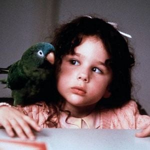 Foto Paulie, el loro bocazas