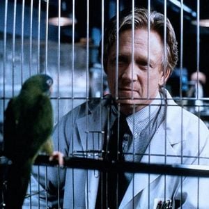 Foto Paulie, el loro bocazas