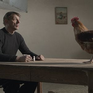 Foto La Cinquième saison