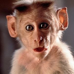 Foto Hánuman, la leyenda del dios mono