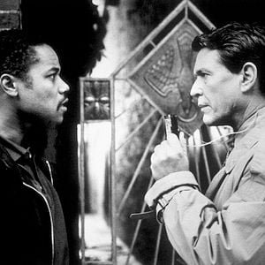 Foto Nido de cuervos