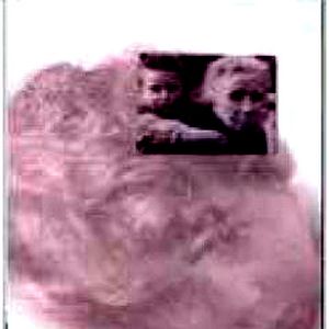 Foto La guerra cotidiana